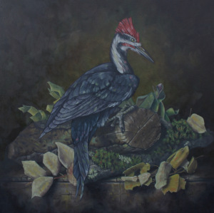 "Pileated Woodpecker" 2016 oil on canvas by Hickory Mertsching